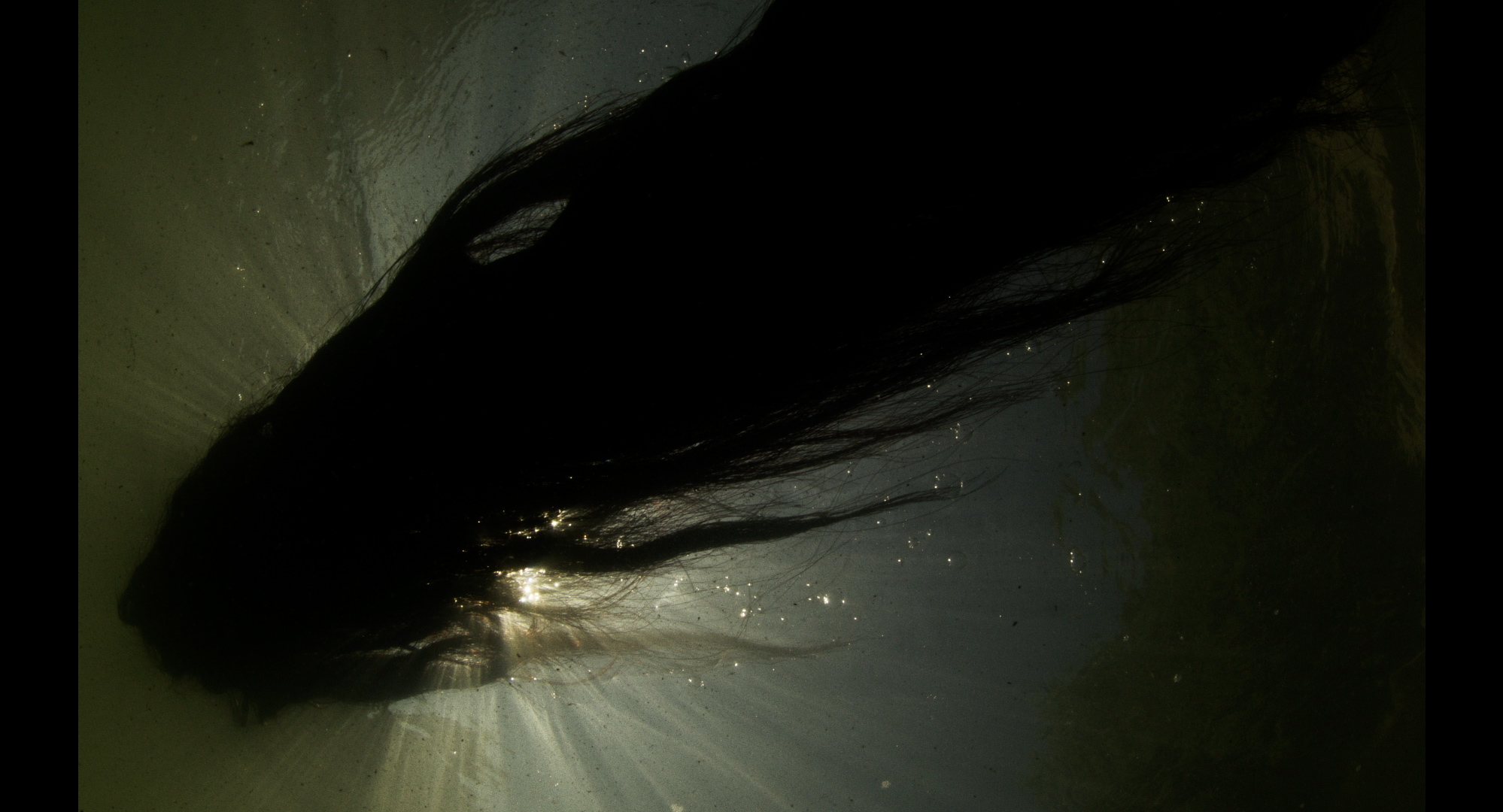 Publiczna obrona rozprawy doktorskiej Justyny Łuczaj Salej